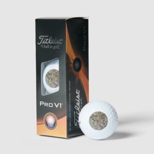 Leonardo's Helmeted Warrior Golfball (Da Vinci’s Warrior Golf Balls Titleist 2023 Pro V1 high gradient core high flex casing layer. )