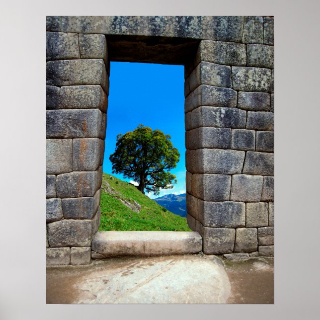 LEONBAUM VON MACHU PICHU POSTER (Vorne)