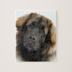 Leonberger