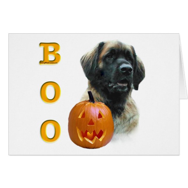 Leonberger Boo (Devant horizontal)