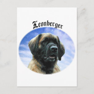 Leonberger Clouds Postkarte