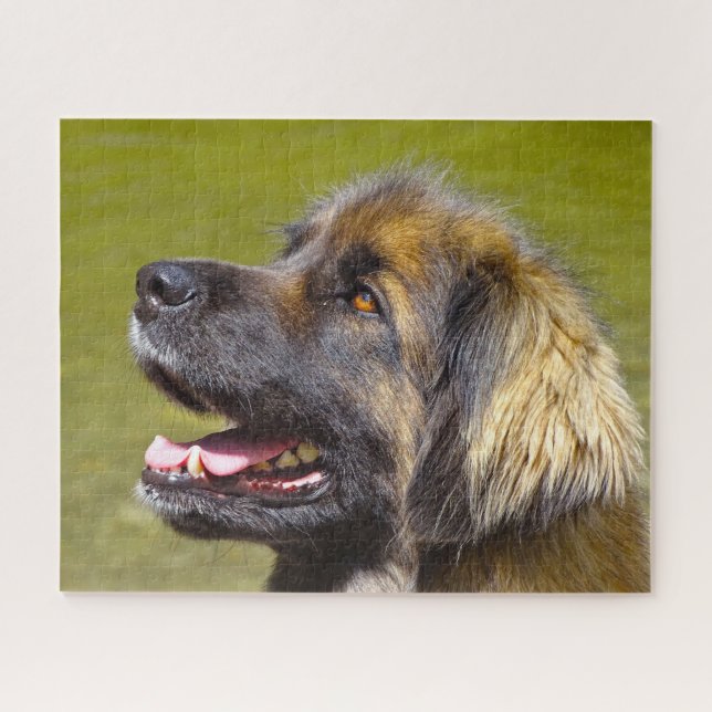 Leonberger Dog Breed Jigsaw. (Horizontal)