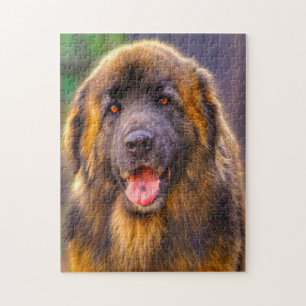 Leonberger Dog Breed Jigsaw.