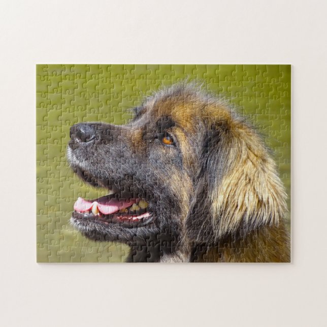 Leonberger Dog Breed Jigsaw. (Horizontal)