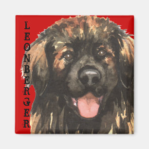 Leonberger Farbblock Magnet