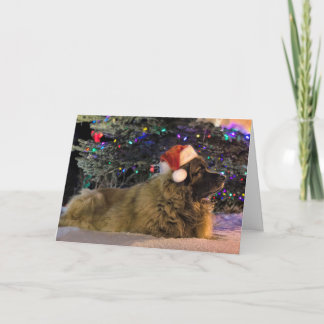 Leonberger funkelnd Weihnachtskarte Feiertagskarte