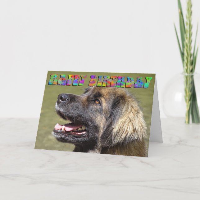 Leonberger Geburtstagskarte Karte (Vorderseite)