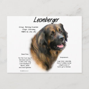 Leonberger Geschichtsdesign Postkarte