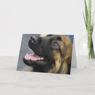 Leonberger Gruß-Karte Karte