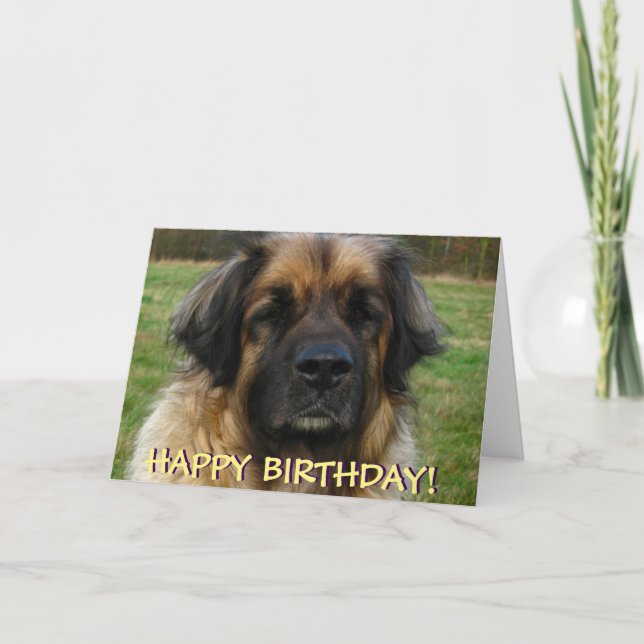 Leonberger Hundegeburtstagskarte Karte (Vorderseite)