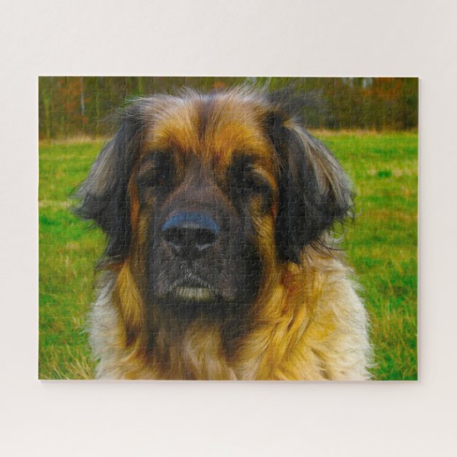 Leonberger-Hunderasse-Puzzle. (Horizontal)