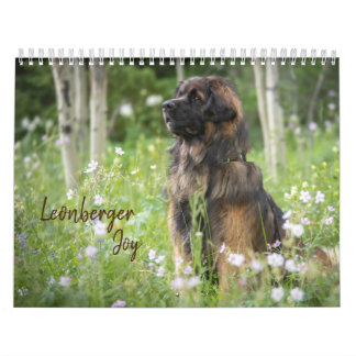 Leonberger Joy Kalender