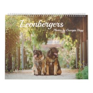 Leonberger Kalender