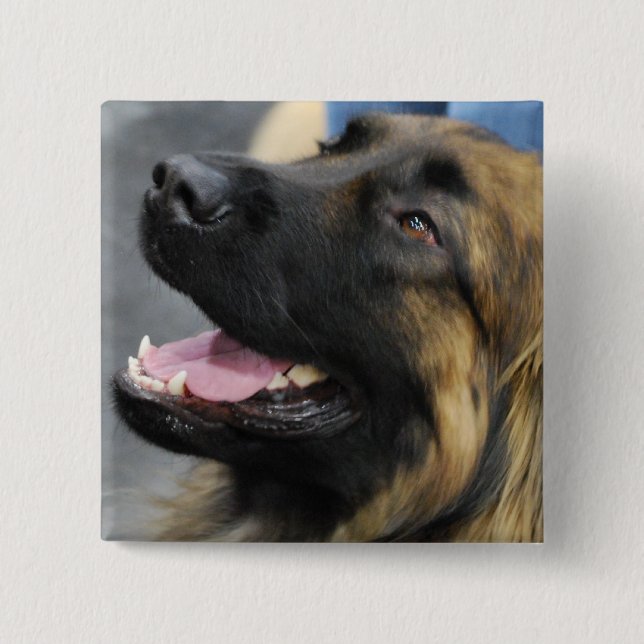 Leonberger Knopf Button (Vorderseite)