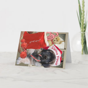 Leonberger Santa Paws Karten