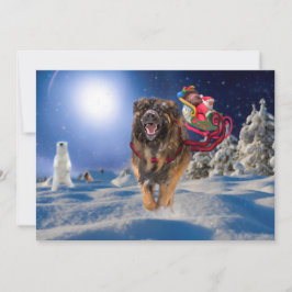 Leonberger sauve la carte plate de vacances de