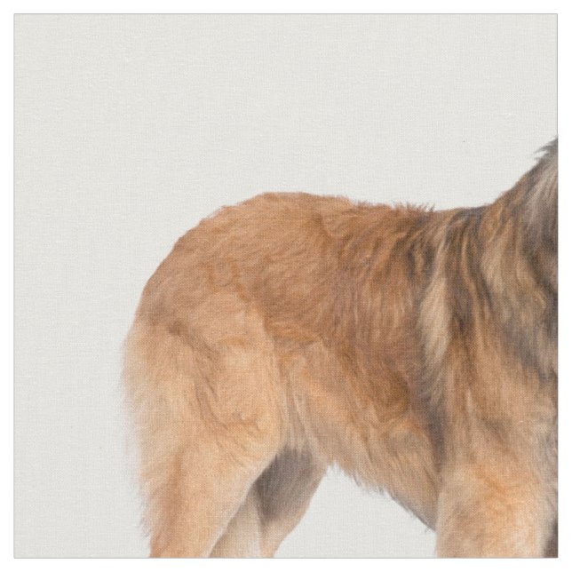 Leonberger Stoff (Nahaufnahme)
