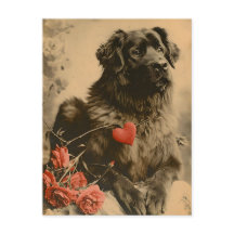 Leonberger Valentinstag Vintag