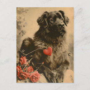 Leonberger Valentinstag Vintage Postkarte