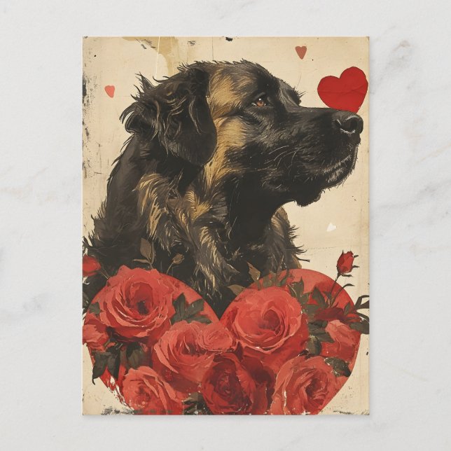 Leonberger Vintag Valentinstag Postkarte (Vorderseite)