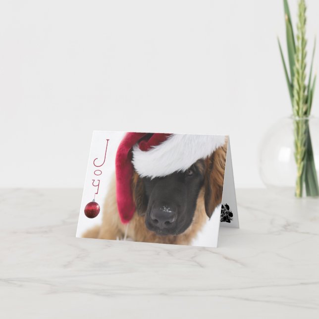 Leonberger Welpe Weihnachten (Vorderseite)