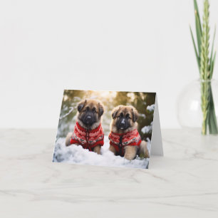 Leonberger Welppies Weihnachtskarte Karte