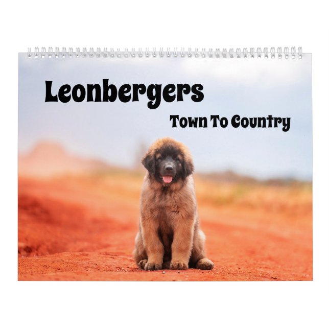 Leonbergers-Kalender - Stadt für Land Kalender (Titelbild)