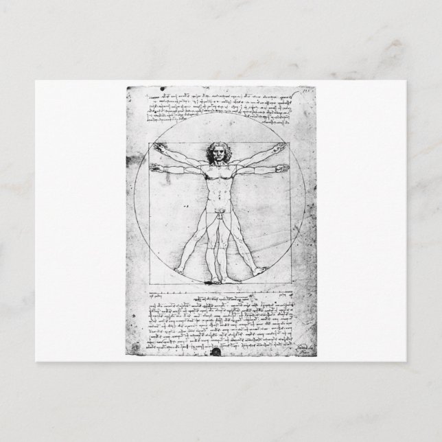 Leondardo Da Vinci Proportionsmann Postkarte (Vorderseite)