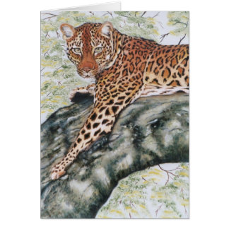 "Leopard "