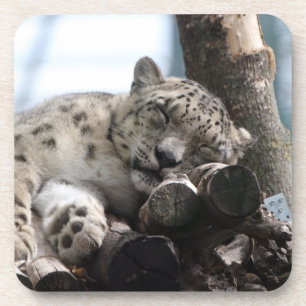 Leopard 002 getränkeuntersetzer