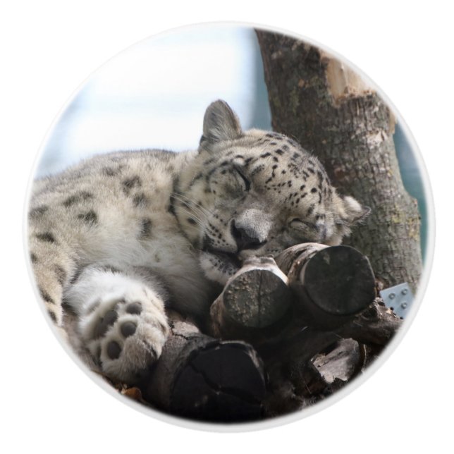 Leopard 002 keramikknauf (Vorderseite)