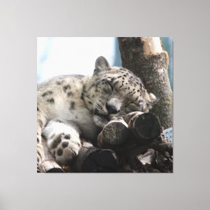 Leopard 002 leinwanddruck