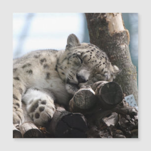 Leopard 002 magnetkarte