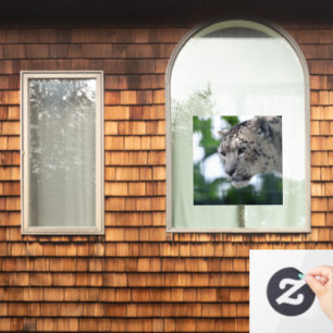 Leopard 003 fensteraufkleber