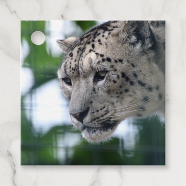 Leopard 003 geschenkanhänger (Vorderseite)