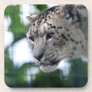 Leopard 003 getränkeuntersetzer