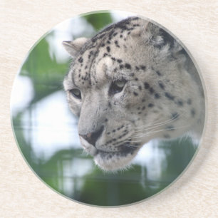 Leopard 003 getränkeuntersetzer