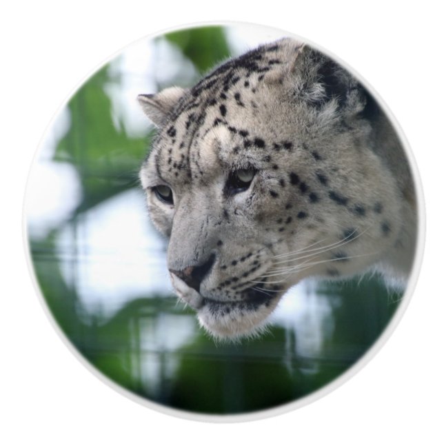 Leopard 003 keramikknauf (Vorderseite)