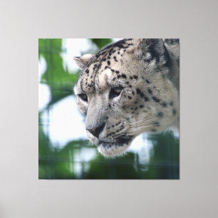 Leopard 003 leinwanddruck