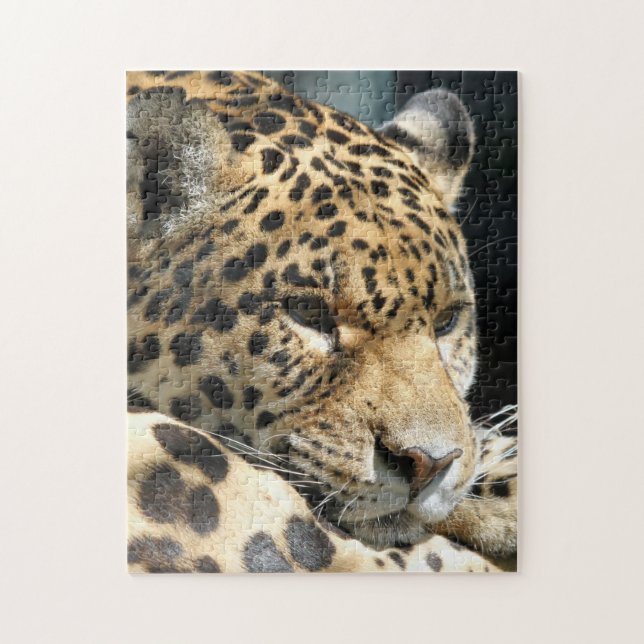 Leopard 004 (Vertikal)