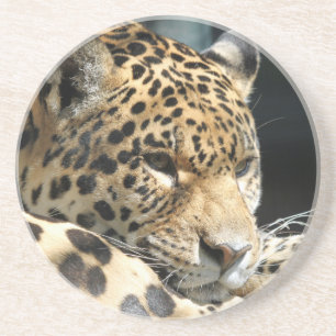 Leopard 004 sandstein untersetzer