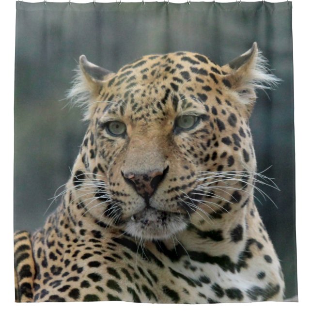 Leopard 006 duschvorhang (Vorderseite)