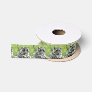 Leopard_2015_0310 Satinband