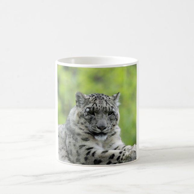 Leopard_2015_0310 Verwandlungstasse (Mittel)