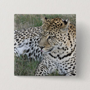 Leopard-Abzeichen Button