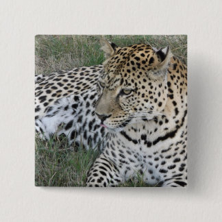 Leopard-Abzeichen Button