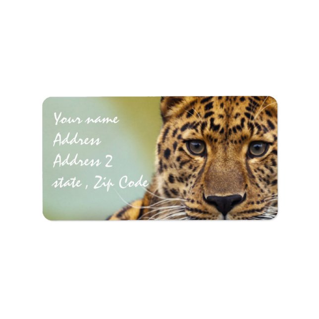 Leopard Adressaufkleber (Vorne)