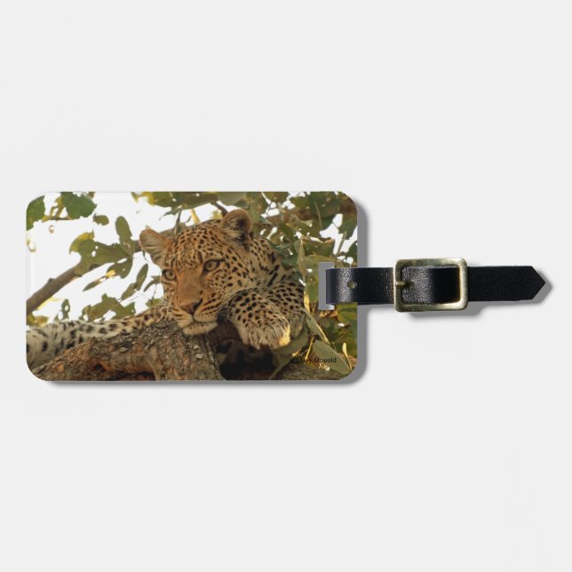 Leopard an der Erholung Gepäckanhänger (Vorderseite horizontal)