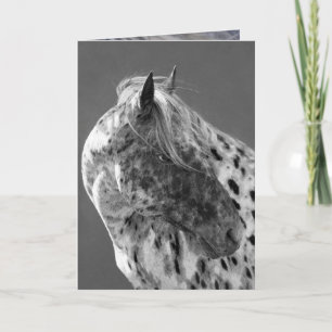 Leopard Appaloosa Horse Grußkarte Karte
