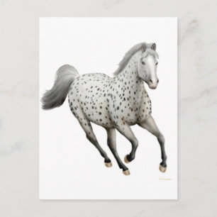 Leopard Appaloosa Pferdepostkarte Postkarte